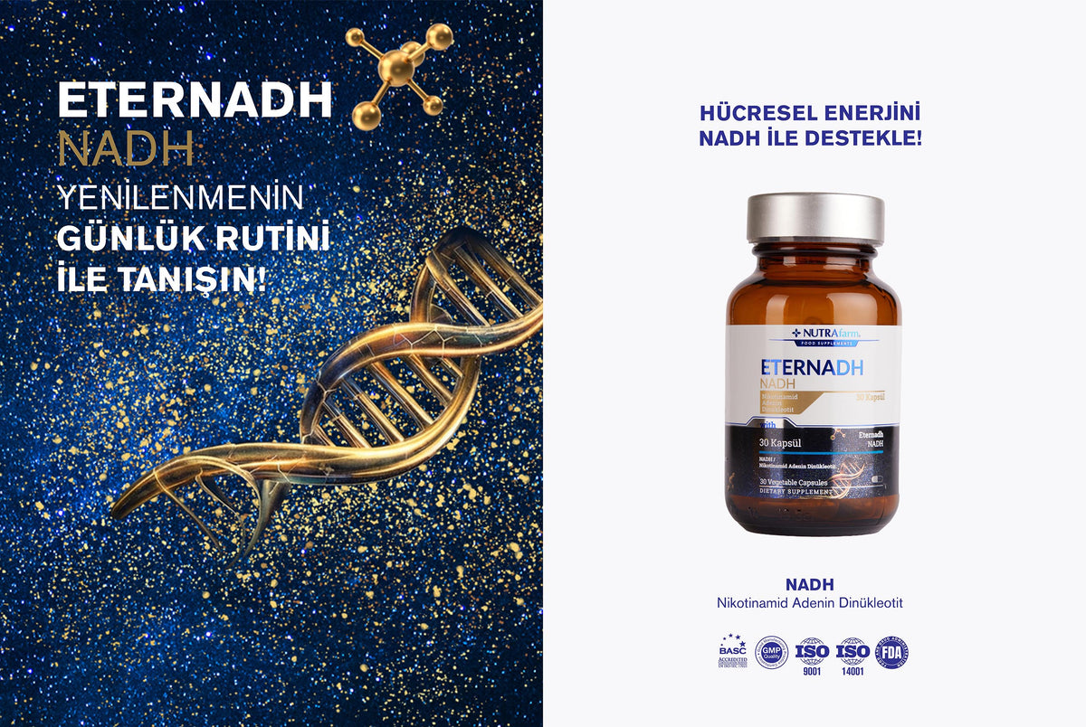 NAD Nedir? NAD+, NADH ve NMN Arasındaki Fark Nedir?